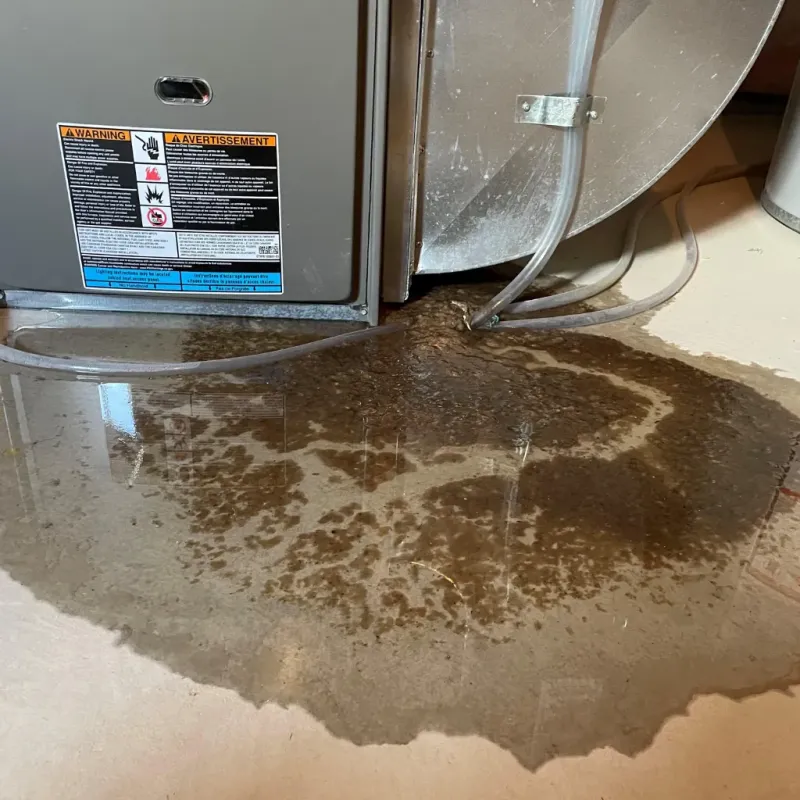 Appliance Leak Cleanup in Salisbury, NC